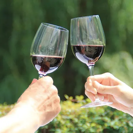 فندق Forsthaus 3*