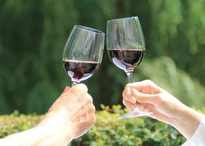 فندق Forsthaus 3*